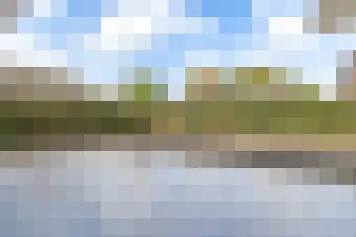 Stuivezandseweg 3 Klein Zundert thumbnail 61