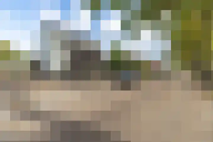 Stuivezandseweg 3 Klein Zundert thumbnail 64