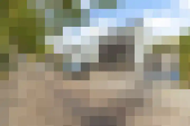 Stuivezandseweg 3 Klein Zundert thumbnail 65