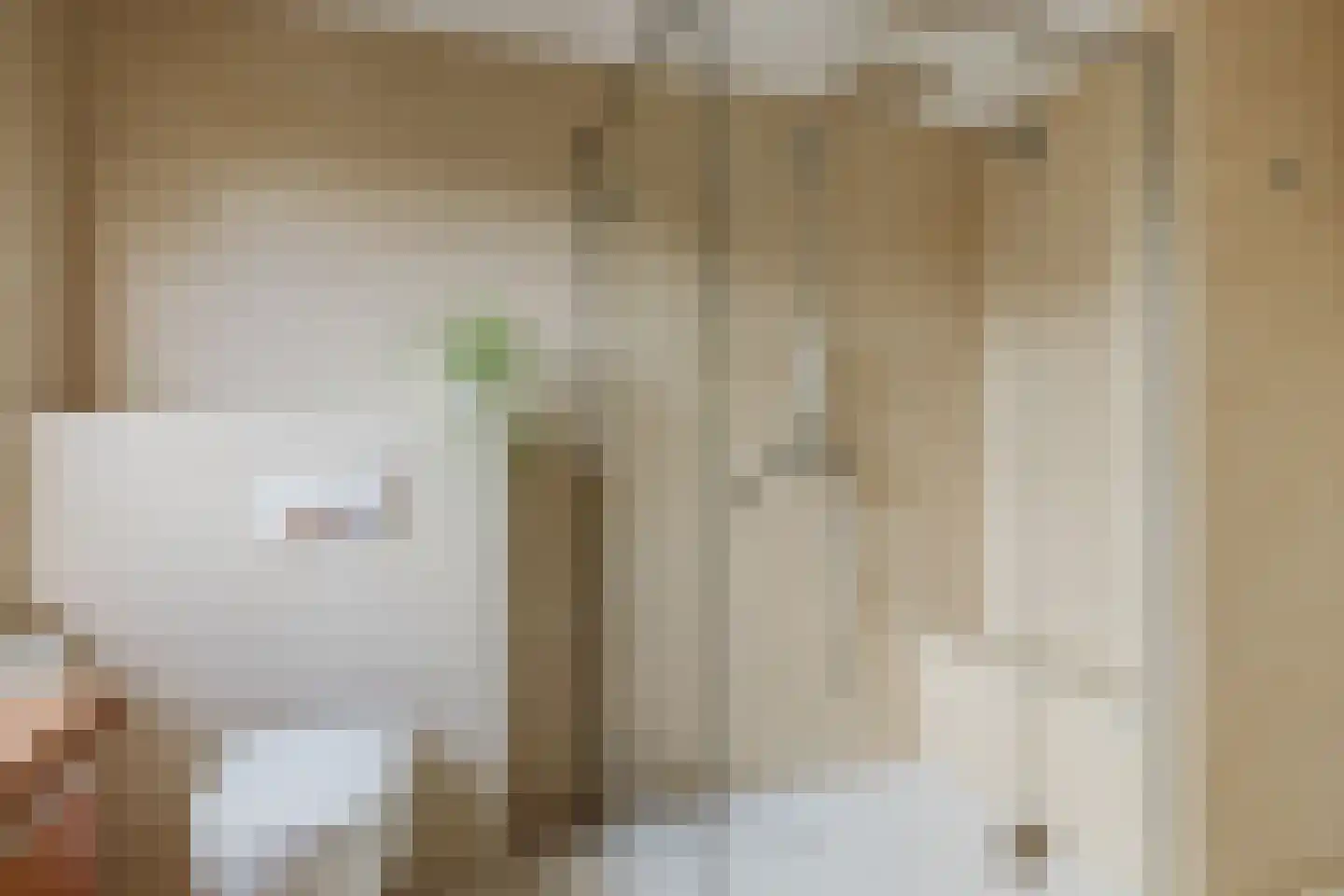 Stuivezandseweg 39 b Klein Zundert thumbnail 4
