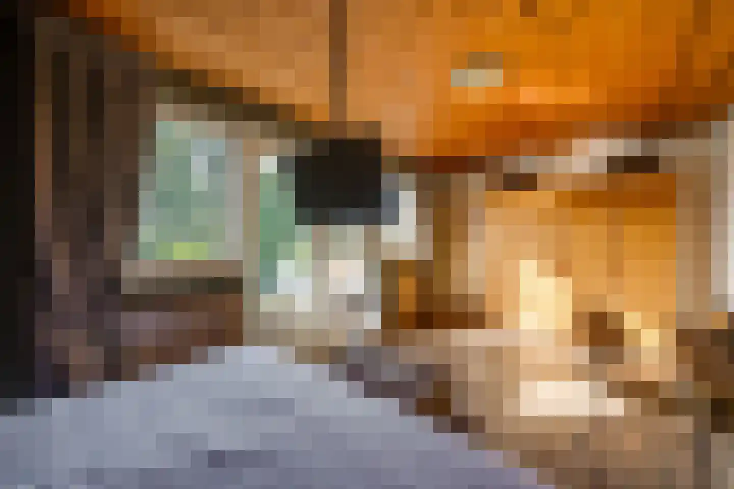 Stuivezandseweg 54 Klein Zundert thumbnail 26