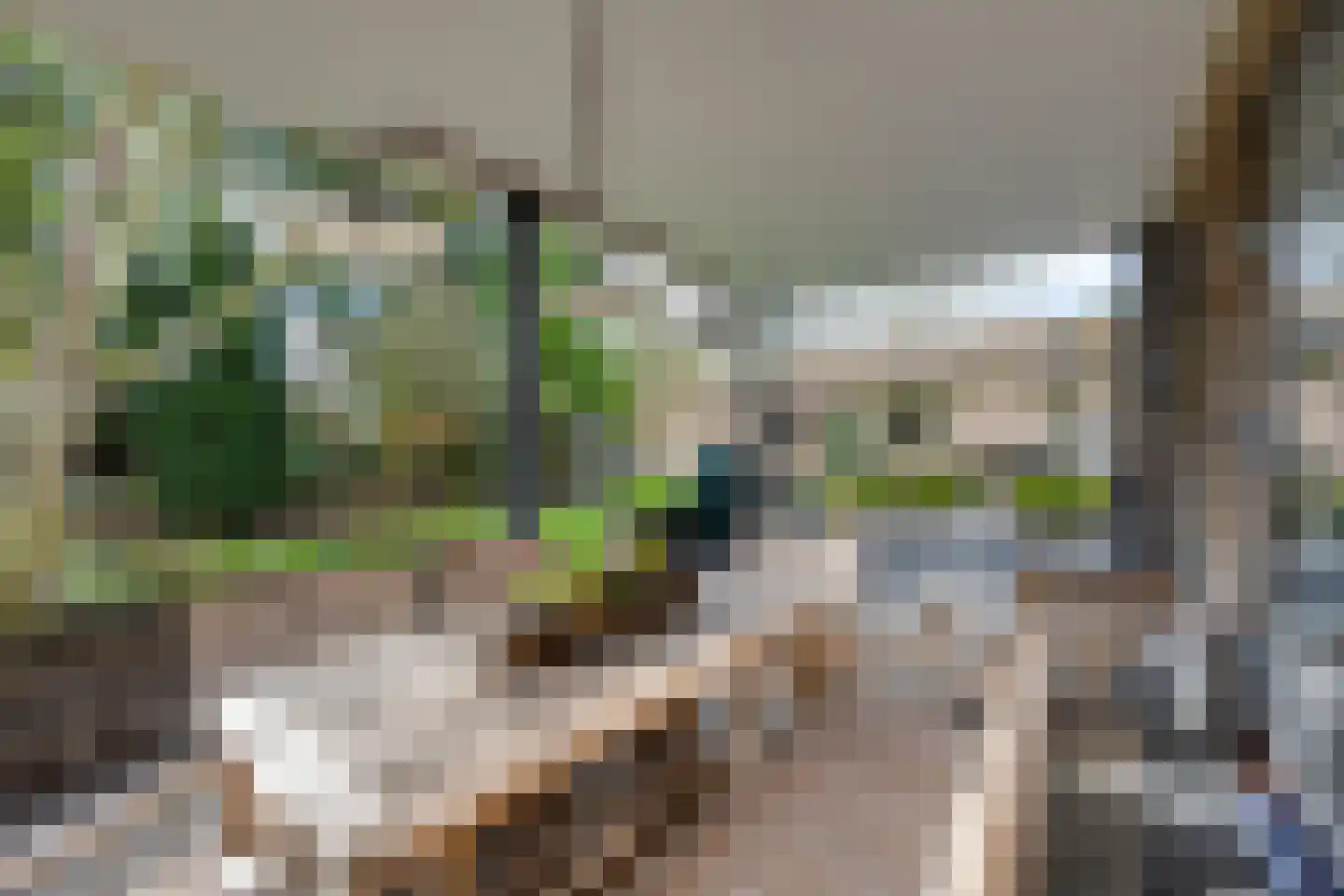 Stuivezandseweg 54 Klein Zundert thumbnail 40