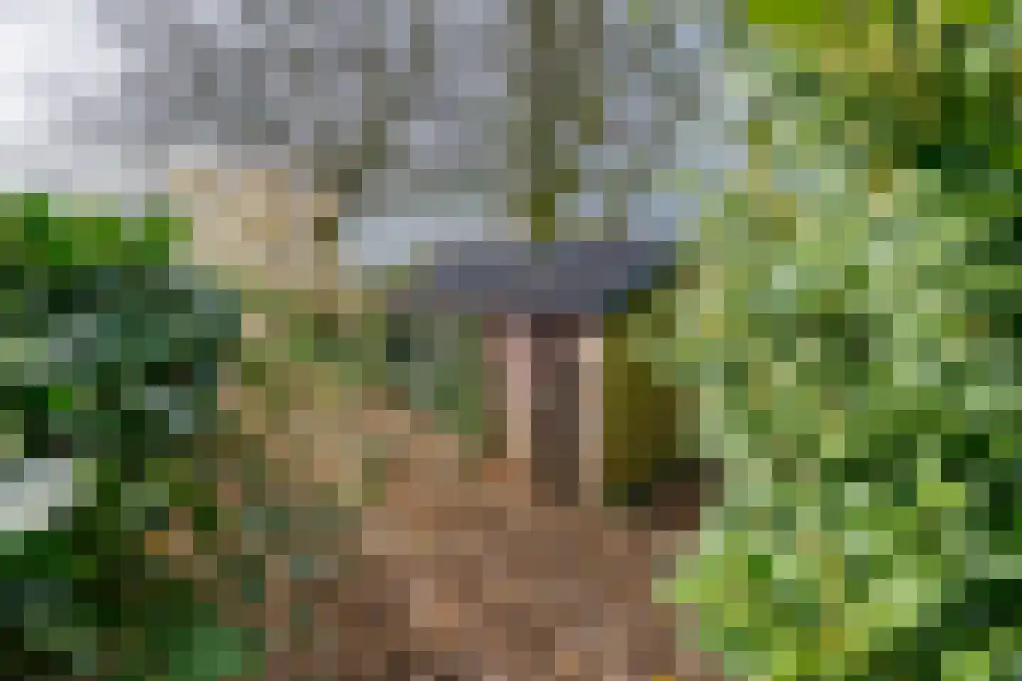 Stuivezandseweg 54 Klein Zundert thumbnail 49