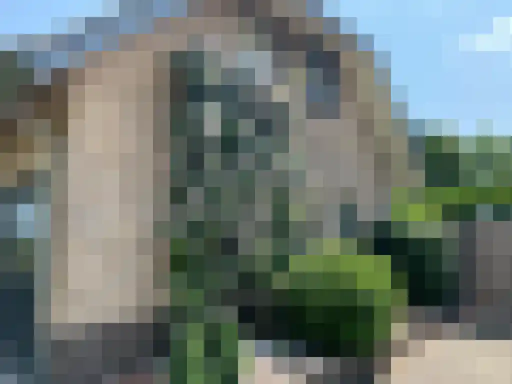 Stuivezandseweg 54 Klein Zundert thumbnail 6