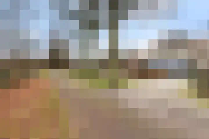 Stuivezandsweg 5 't Loo Oldebroek