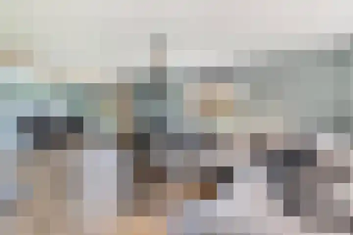 Stuivezandsweg 5 't Loo Oldebroek thumbnail 12