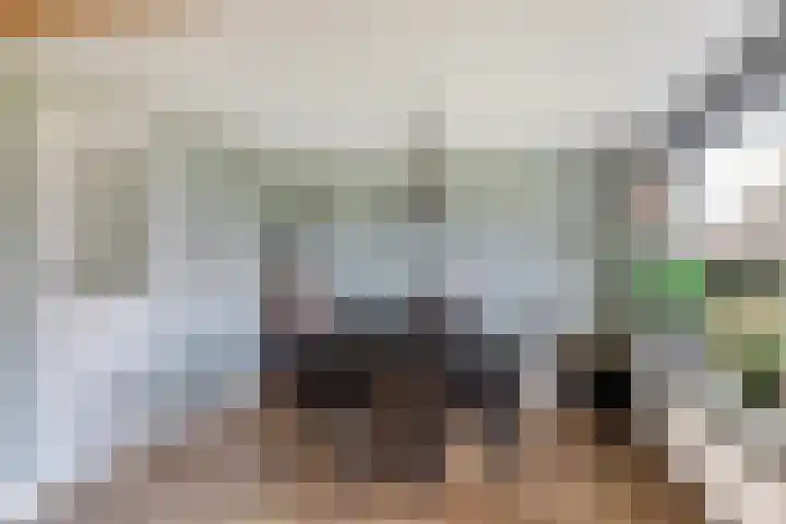 Stuivezandsweg 5 't Loo Oldebroek thumbnail 15