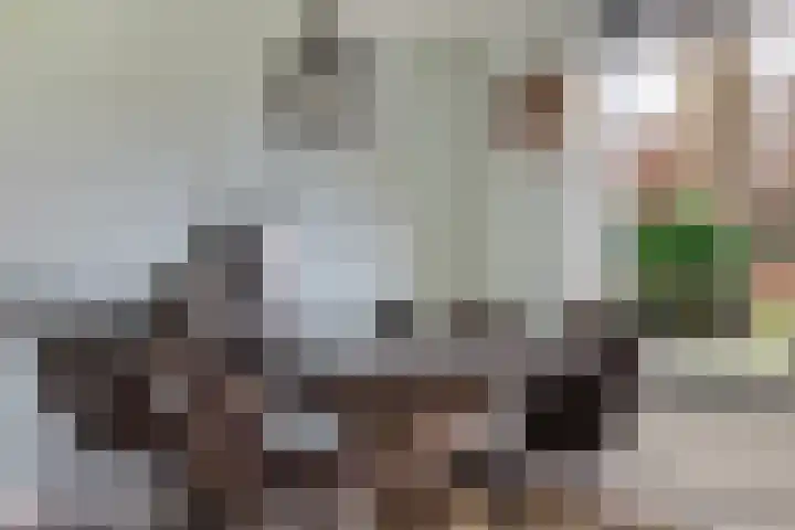 Stuivezandsweg 5 't Loo Oldebroek thumbnail 16