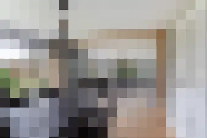 Stuivezandsweg 5 't Loo Oldebroek thumbnail 17
