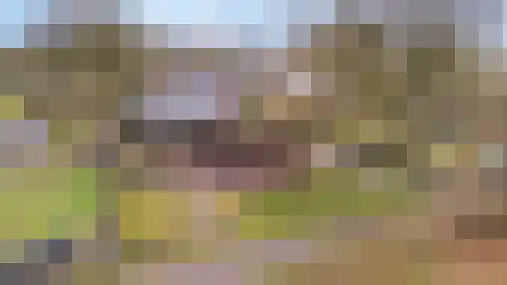 Stuivezandsweg 5 't Loo Oldebroek foto 2