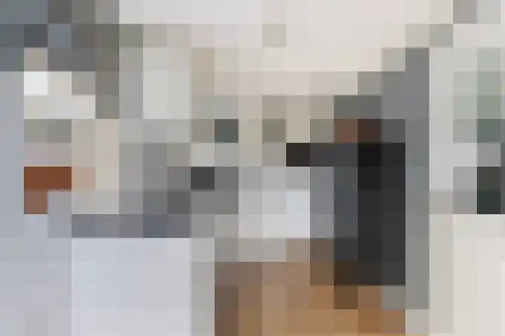 Stuivezandsweg 5 't Loo Oldebroek thumbnail 20