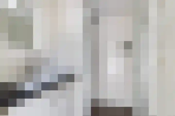 Stuivezandsweg 5 't Loo Oldebroek thumbnail 22
