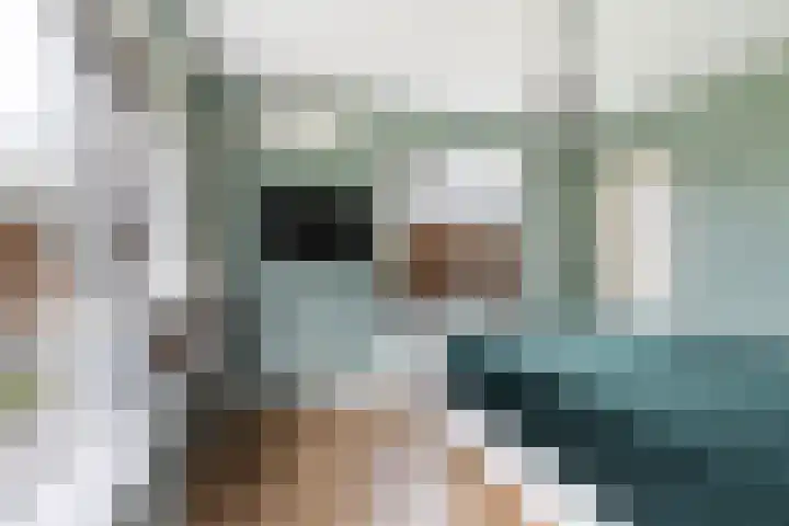 Stuivezandsweg 5 't Loo Oldebroek thumbnail 23
