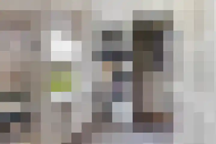 Stuivezandsweg 5 't Loo Oldebroek thumbnail 25