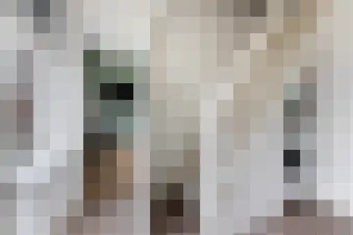 Stuivezandsweg 5 't Loo Oldebroek thumbnail 26