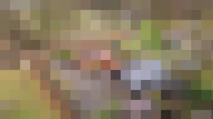 Stuivezandsweg 5 't Loo Oldebroek foto 3