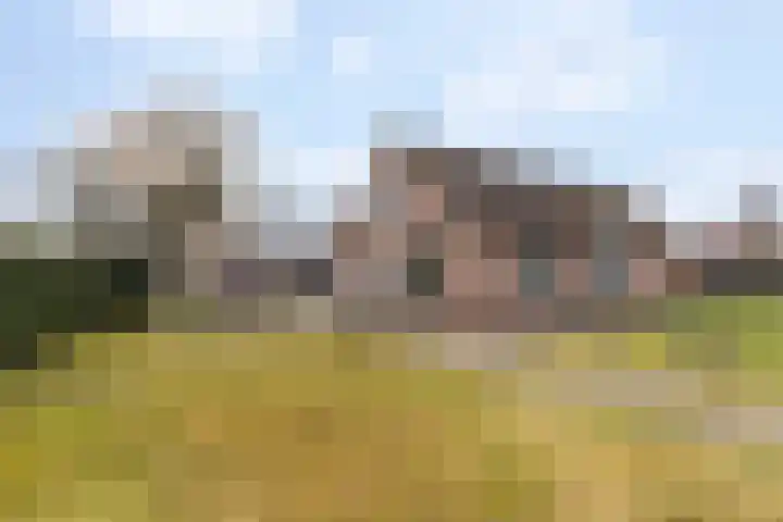 Stuivezandsweg 5 't Loo Oldebroek thumbnail 31