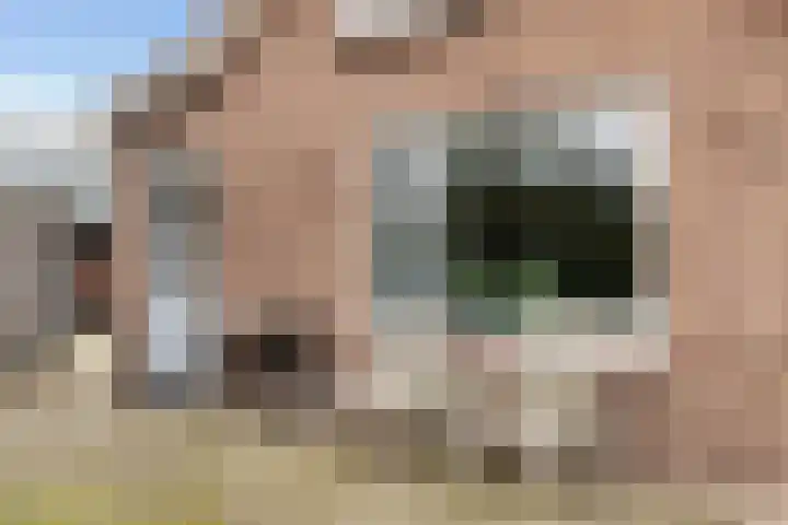 Stuivezandsweg 5 't Loo Oldebroek thumbnail 32