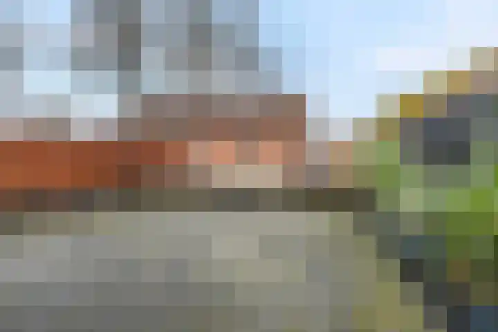 Stuivezandsweg 5 't Loo Oldebroek thumbnail 34