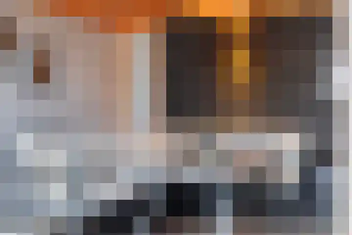 Stuivezandsweg 5 't Loo Oldebroek thumbnail 36