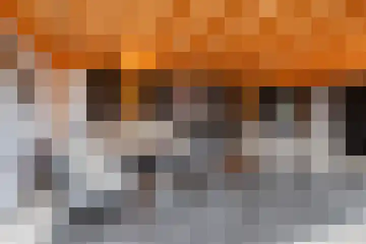 Stuivezandsweg 5 't Loo Oldebroek thumbnail 37
