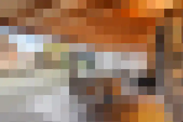 Stuivezandsweg 5 't Loo Oldebroek thumbnail 38