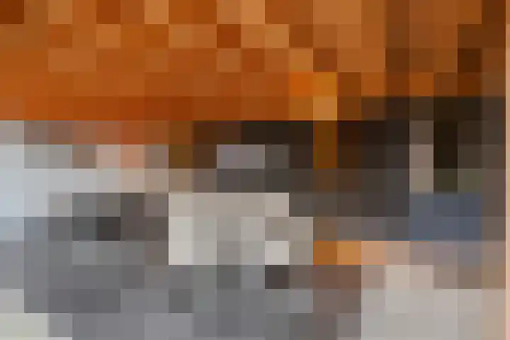 Stuivezandsweg 5 't Loo Oldebroek thumbnail 39