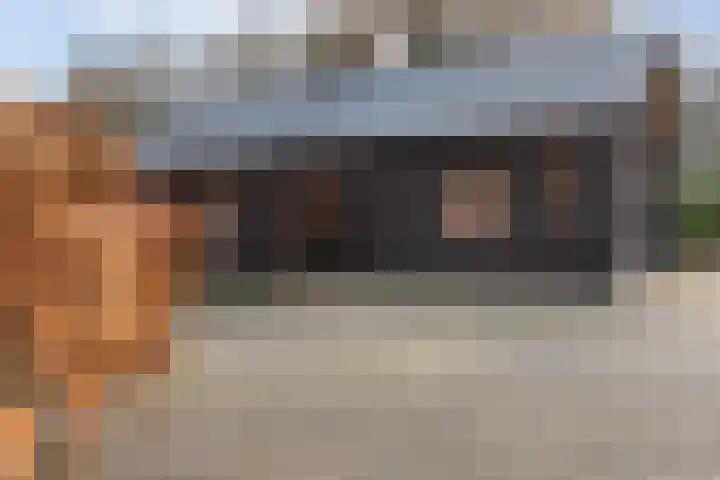 Stuivezandsweg 5 't Loo Oldebroek thumbnail 4