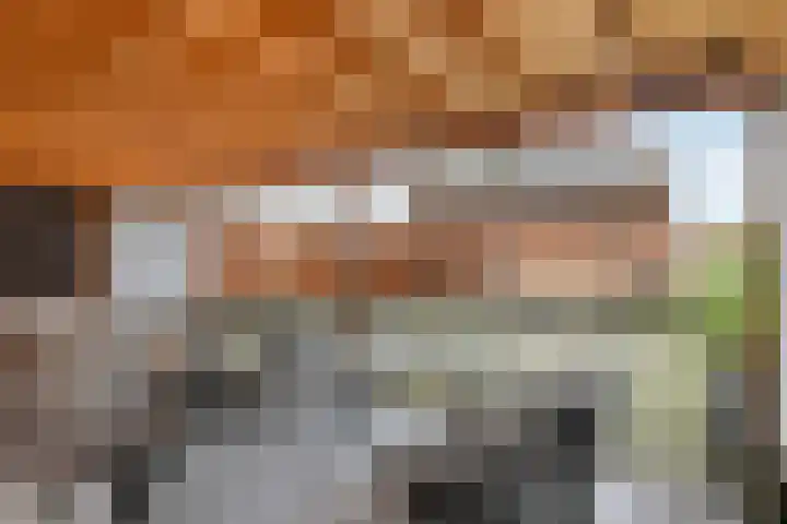 Stuivezandsweg 5 't Loo Oldebroek thumbnail 40