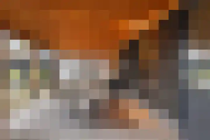 Stuivezandsweg 5 't Loo Oldebroek thumbnail 41