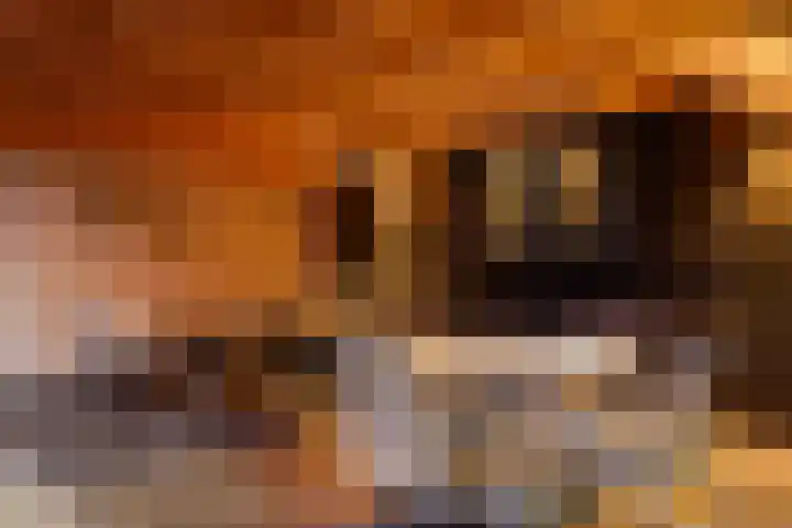 Stuivezandsweg 5 't Loo Oldebroek thumbnail 42