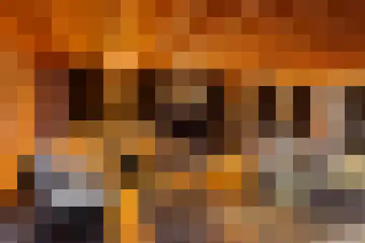 Stuivezandsweg 5 't Loo Oldebroek thumbnail 43