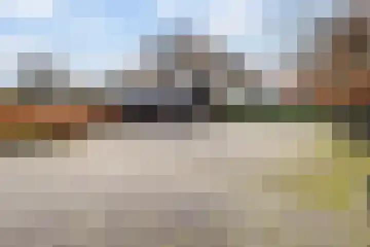 Stuivezandsweg 5 't Loo Oldebroek thumbnail 44