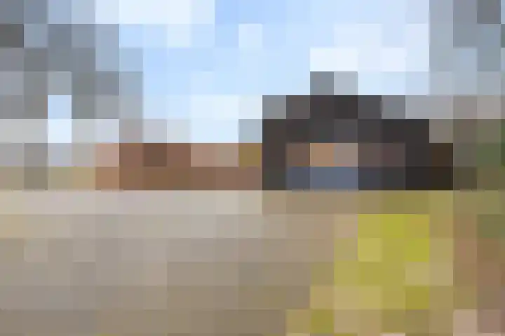 Stuivezandsweg 5 't Loo Oldebroek thumbnail 45
