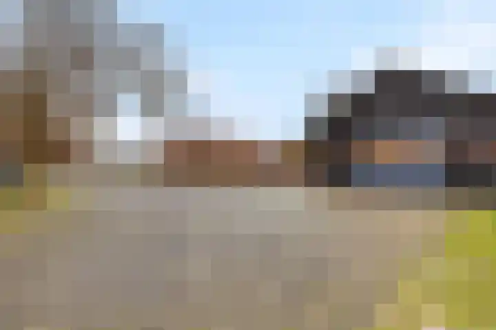 Stuivezandsweg 5 't Loo Oldebroek thumbnail 46