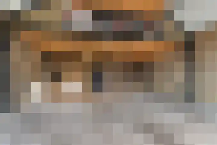 Stuivezandsweg 5 't Loo Oldebroek thumbnail 49
