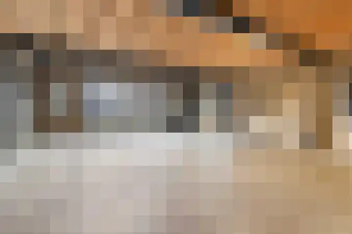 Stuivezandsweg 5 't Loo Oldebroek thumbnail 5