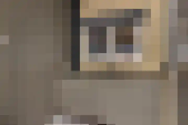Stuivezandsweg 5 't Loo Oldebroek thumbnail 53