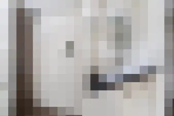 Stuivezandsweg 5 't Loo Oldebroek thumbnail 54