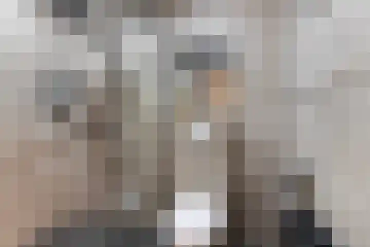 Stuivezandsweg 5 't Loo Oldebroek thumbnail 55