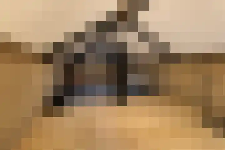 Stuivezandsweg 5 't Loo Oldebroek thumbnail 56