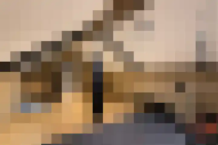 Stuivezandsweg 5 't Loo Oldebroek thumbnail 57