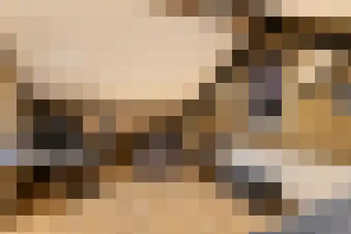 Stuivezandsweg 5 't Loo Oldebroek thumbnail 58