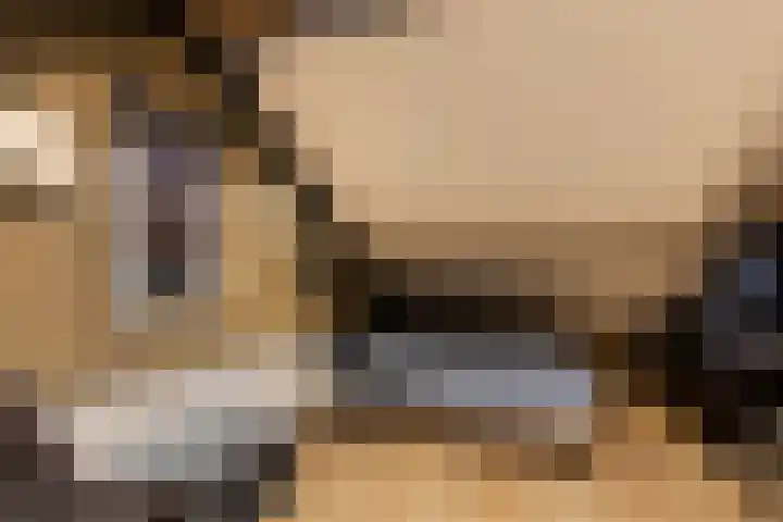 Stuivezandsweg 5 't Loo Oldebroek thumbnail 59