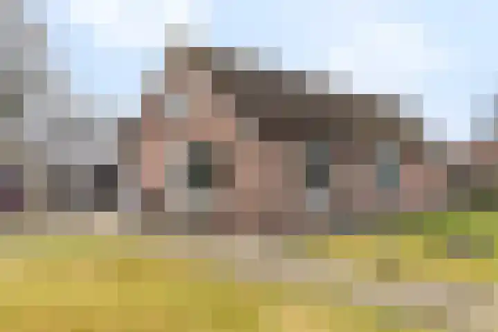 Stuivezandsweg 5 't Loo Oldebroek thumbnail 61