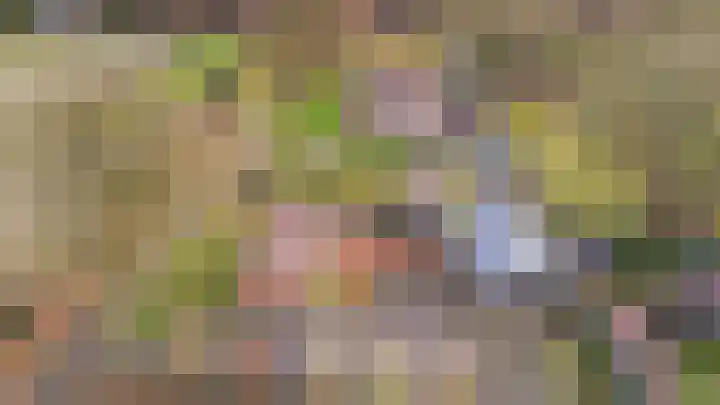 Stuivezandsweg 5 't Loo Oldebroek thumbnail 62