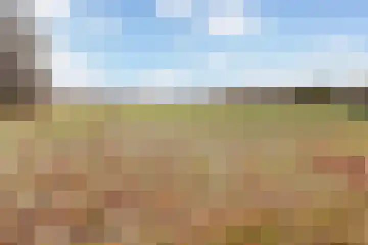 Stuivezandsweg 5 't Loo Oldebroek thumbnail 64