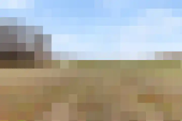 Stuivezandsweg 5 't Loo Oldebroek thumbnail 68