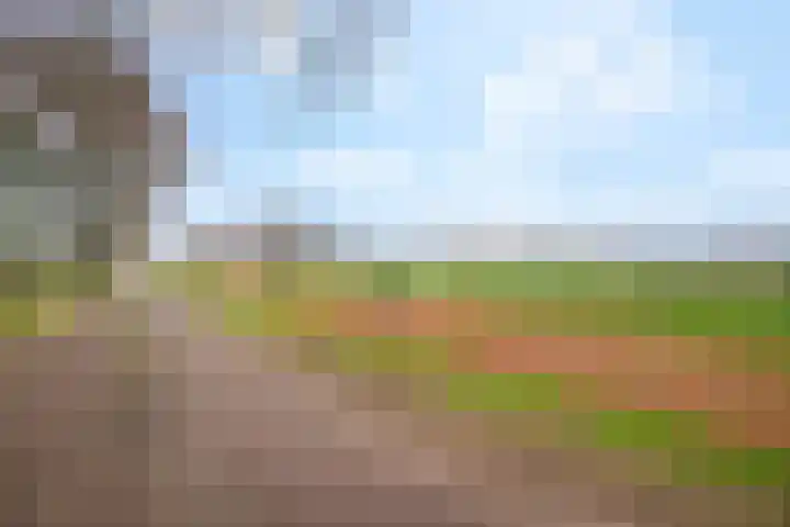 Stuivezandsweg 5 't Loo Oldebroek thumbnail 69