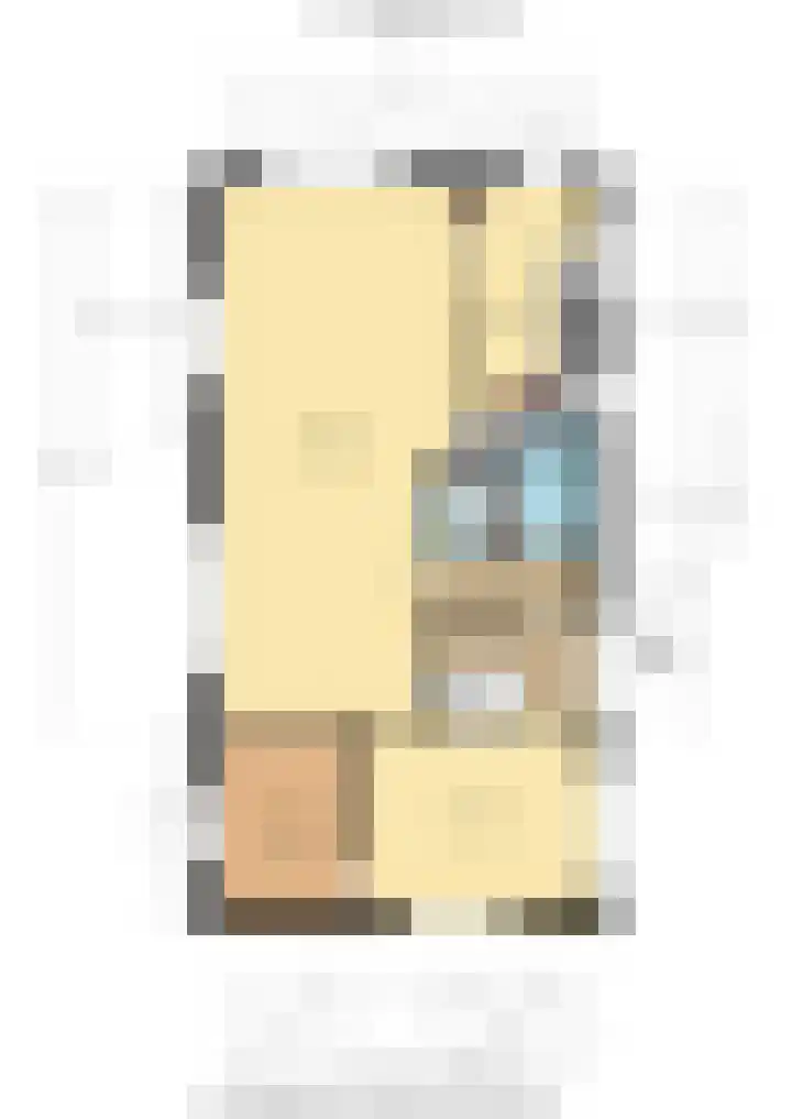 Stuivezandsweg 5 't Loo Oldebroek thumbnail 70
